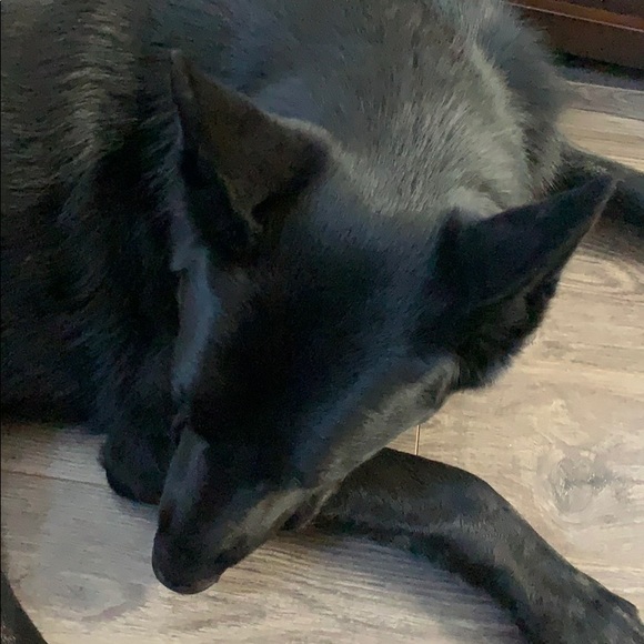 Meet your Posher, Courtney - Picture 1 of 1